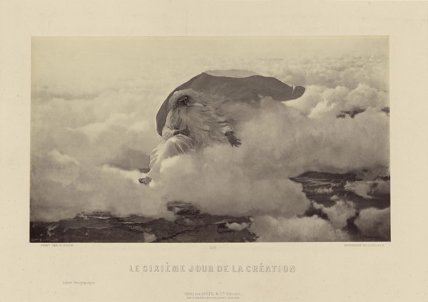 Le Sixième Jour de la Création  by G. Brion; Goupil & Cie., French, active 1839 - 1860s, 1862 - 1865; Albumen silver print