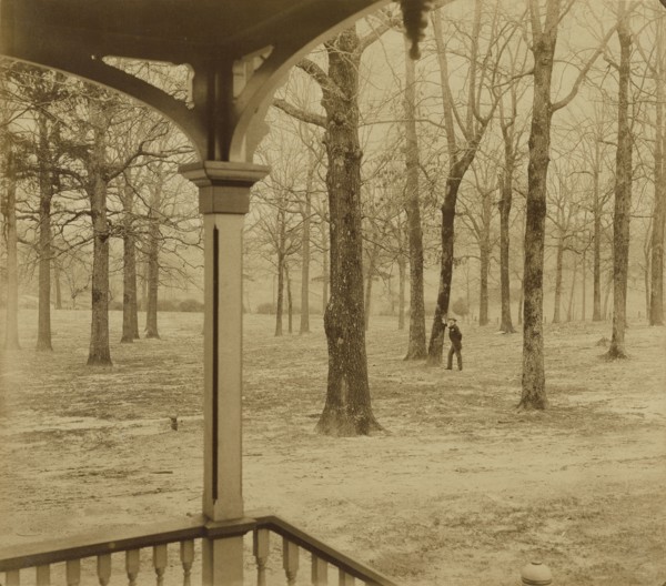 Landscape with Portrait of Alfred R. Waud; Jay Dearborn Edwards, American, 1831 - 1900, about 1891; Albumen silver print