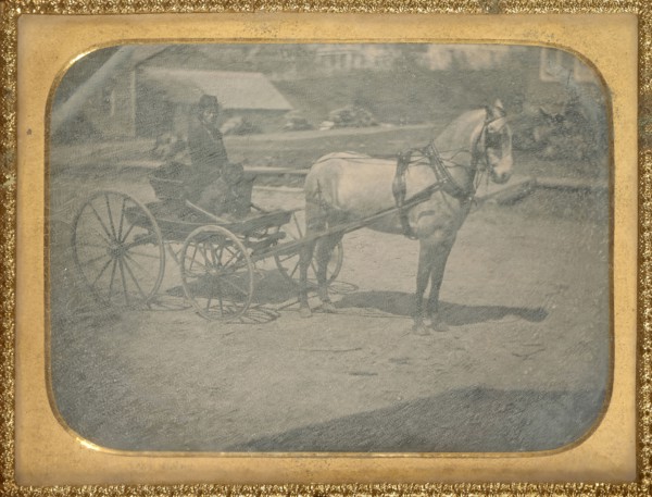 Horse and buggy with driver on seat with dog; American; about 1850; Daguerreotype