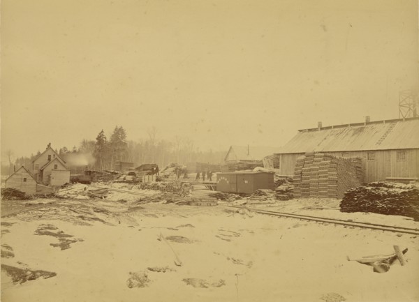 R.E. Peabody & Co., Lumber Manufacturers, Peabody Station, Vt; Daniel A. Clifford, American, 1826 - 1887, United States
