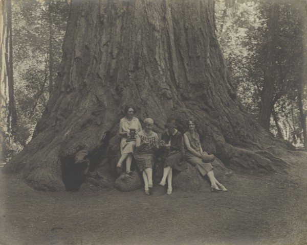 Women with Cameras at the Base of a Tree; Louis Fleckenstein, American, 1866 - 1943, about 1900; Gelatin silver print