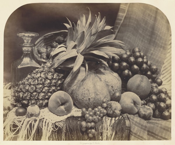 Still Life with Fruit and Decanter; Roger Fenton, English, 1819 - 1869, London, England; 1860; Albumen silver print