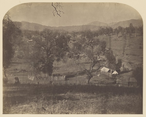 Bridgeport - East; Carleton Watkins, American, 1829 - 1916, 1860; Salted paper print; 33.2 x 41.3 cm 13 1,16 x 16 1,4 in
