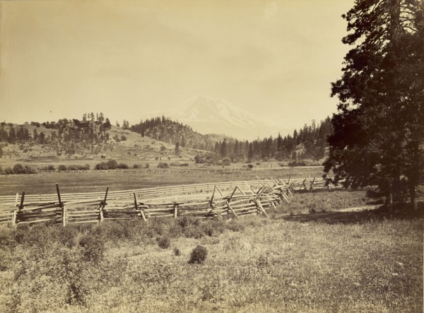 View of Mt. Shasta; Carleton Watkins, American, 1829 - 1916, Mt. Shasta, California, United States; 1870; Albumen silver print