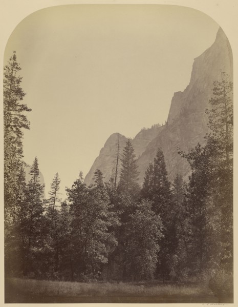 Outline View of the Half Dome - 4967 ft., Yo Semite; Carleton Watkins, American, 1829 - 1916, Yosemite, California, USA