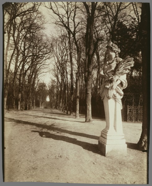 The Park, Versailles; Eugène Atget, French, 1857 - 1927, Paris, France; 1920; Albumen silver print