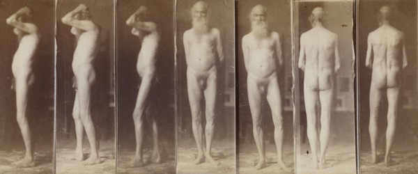 Naked Series: Old Man; Thomas Eakins, American, 1844 - 1916, United States; about 1883; Albumen silver print