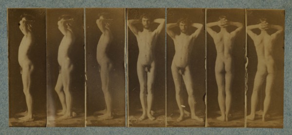 George Reynolds: Seven Photographs; Thomas Eakins, American, 1844 - 1916, 1883; Albumen silver print