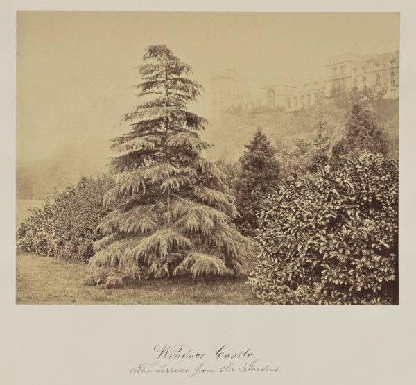 Windsor Castle. The Terrace from the Gardens; Arthur James Melhuish, English, 1829 - 1895, Windsor, Great Britain; 1856