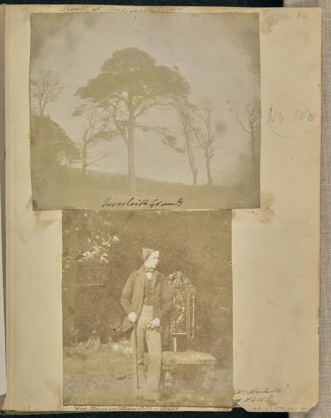 Inverleith Grounds; Attributed to Robert Adamson, Scottish, 1821 - 1848, 1843; Salted paper print from a Calotype negative