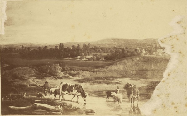 Landscape painting; about 1860 - 1890; Albumen silver print
