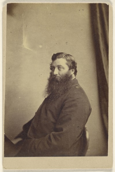 man with long beard, in 3,4 profile, seated; about 1865; Albumen silver print