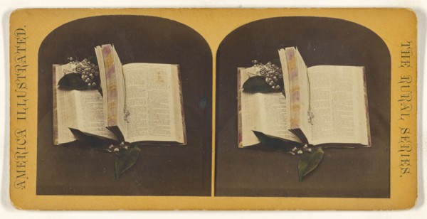 Book opened at two spots, one with book mark string, the other with flowers; American; about 1870 - 1880; Hand-colored Albumen