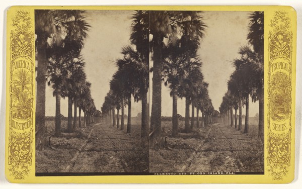Palmetto Ave. Ft. Geo. Island, Fla; American; about 1870 - 1880; Albumen silver print