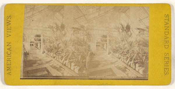 Green House, Presidential Mansion, D.C; American; about 1865 - 1875; Albumen silver print