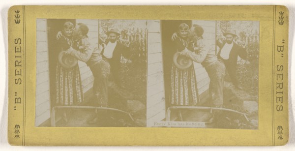 Every Kiss has its Sting; American; about 1880 - 1890; Gelatin silver print