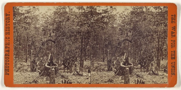 Woods on the left wing, Battle of Gettysburgh; Studio of Mathew B. Brady, American, about 1823 - 1896, July 1863; Albumen