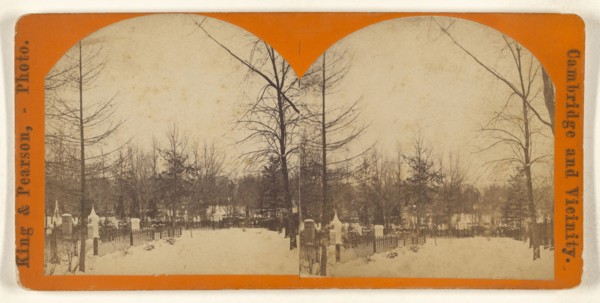 Winter View, Mt. Auburn; King & Pearson; 1880s; Albumen silver print