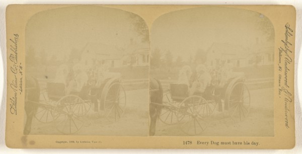 Every Dog must have his day; Franklin G. Weller, American, 1833 - 1877, 1889; Albumen silver print