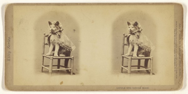 Little Red Riding Hood; John P. Soule, American, 1827 - 1904, 1871; Albumen silver print