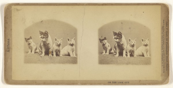On the Look Out; John P. Soule, American, 1827 - 1904, 1871; Albumen silver print