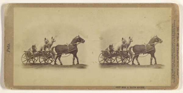 Out for a Days Sport; John P. Soule, American, 1827 - 1904, 1873; Albumen silver print
