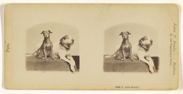Jeff D. and Fanny; John P. Soule, American, 1827 - 1904, about 1873; Albumen silver print