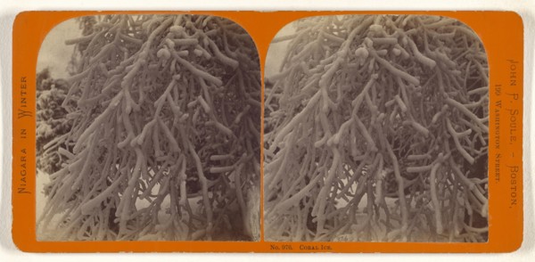 Coral Ice; John P. Soule, American, 1827 - 1904, about 1865; Albumen silver print