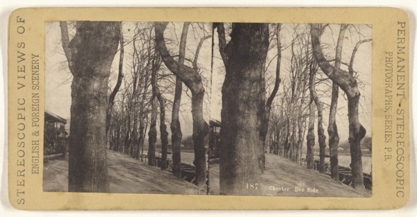 Chester. Dee Side; British; 1880s; Collotype