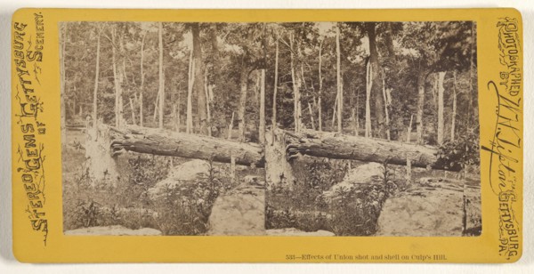 Effects of Union shot and shell on Culp's Hill; William H. Tipton, American, 1850 - 1929, active Gettysburg, Pennsylvania
