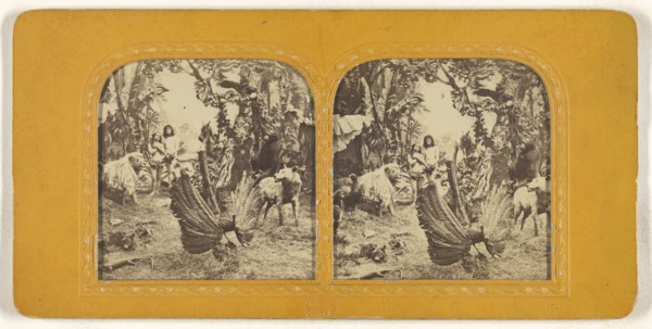 Genre scene: Adam & Eve in the Garden of Eden; Charles Gaudin, Ch. G., French, active 1860s, 1860s; Hand-colored Albumen silver