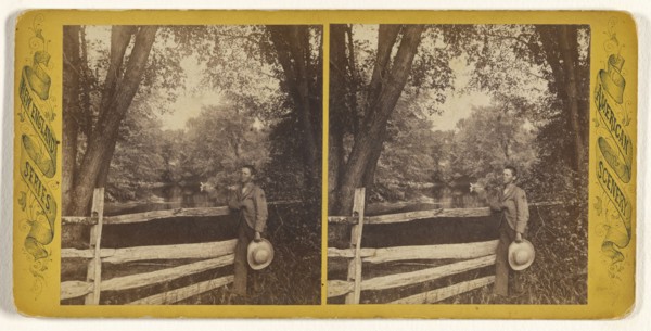 View above Hawkins Bridge; Edward O. Waite, American, active 1880s, 1870s; Albumen silver print