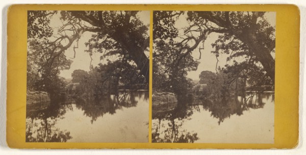 View on the Nashua River; Edward O. Waite, American, active 1880s, 1870s; Albumen silver print
