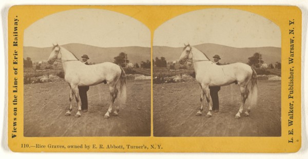 Rice Graves, owned by E.R. Abbott, Turner's, N.Y; L. E. Walker, American, 1826 - 1916, active Warsaw, New York, about 1870
