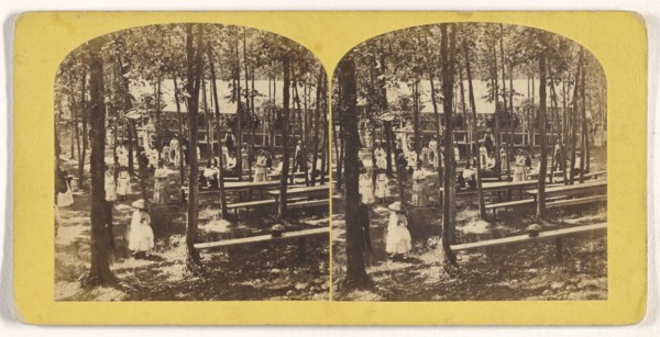 Pic-nic Party, Echo Grove. No. 1; William T. Webster, American, active Lynn, Massachusetts 1870s, 1870s; Albumen silver print