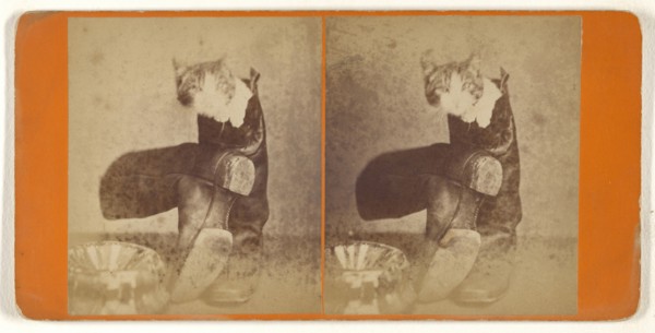 Puss in boots; Attributed to Peter F. Weil, American, active New York, New York 1860s - 1870s, about 1865; Albumen silver print