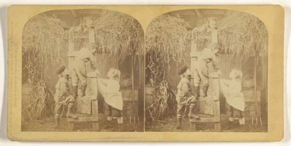 Hunting Hen's Egg; Franklin G. Weller, American, 1833 - 1877, 1871; Albumen silver print