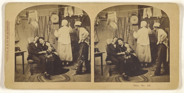 Bliss; Franklin G. Weller, American, 1833 - 1877, 1875; Albumen silver print