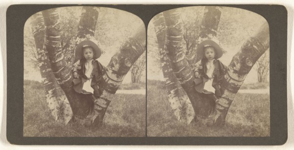Mildred sitting on birch Tree, Washington Park, Albany, N.Y; Julius M. Wendt, American, active 1900s - 1910s, May 24, 1903
