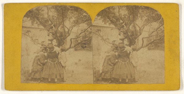 Children playing in tree; British; about 1860; Albumen silver print