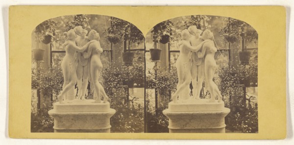 Private Conservatory; about 1865; Albumen silver print
