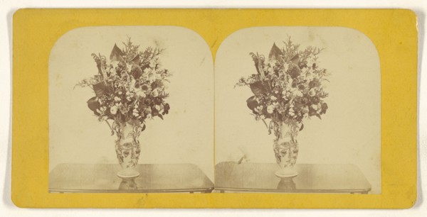 Flower arrangement; about 1870; Albumen silver print