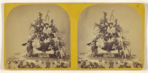 Flower arrangement; about 1860; Albumen silver print