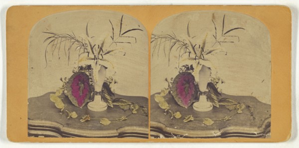 Flower arrangement; about 1865; Hand-colored Albumen silver print