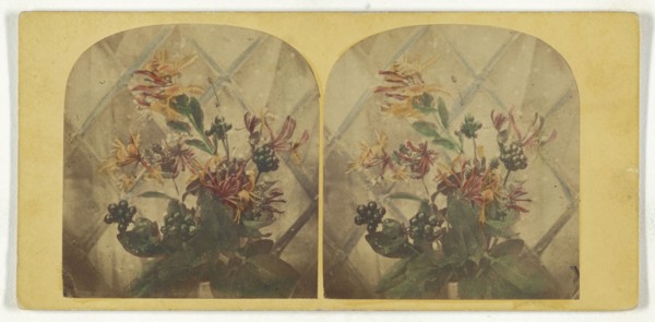 Flower arrangement; about 1865; Hand-colored Albumen silver print