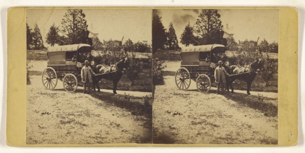 J.H. Upton, Horse & Wagon; American; about 1865; Albumen silver print