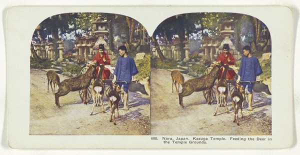Nara, Japan. Kasuga Temple. Feeding the Deer in the Temple Grounds; about 1905; Color Photomechanical