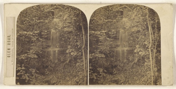 Glen Roar, A Waterfall, Near Hastings; British; about 1860; Albumen silver print