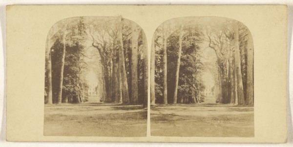 Guy's Cliff, Warwick; British; about 1860; Albumen silver print