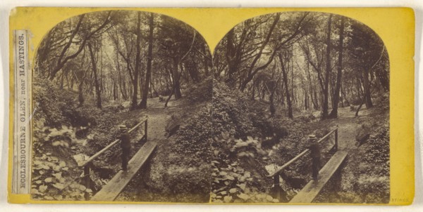 Ecclesbourne Glen, near Hastings; British; about 1860; Albumen silver print